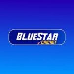bluestar cricket mod apk download