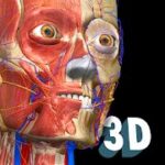 download anatomy learning mod apk