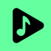 Musicolet Music Player MOD APK (Pro Unlocked) Download